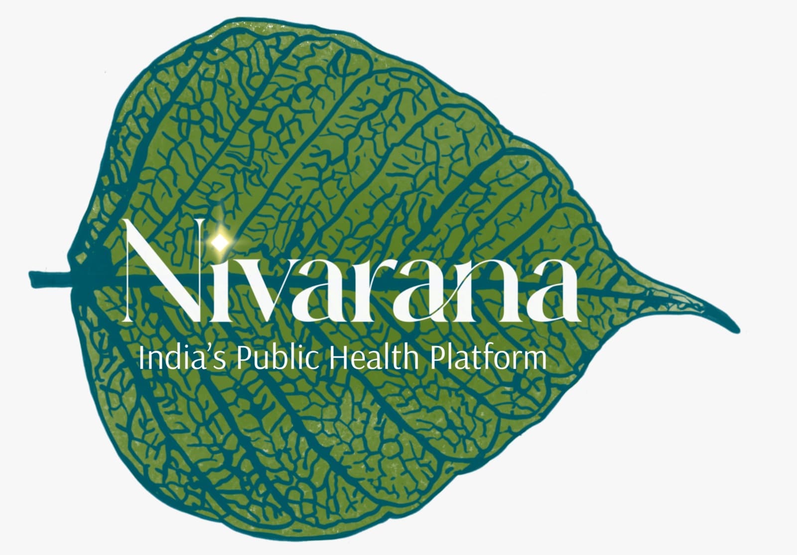 Representative image for From Seed to Sapling: Three Years of Nivarana