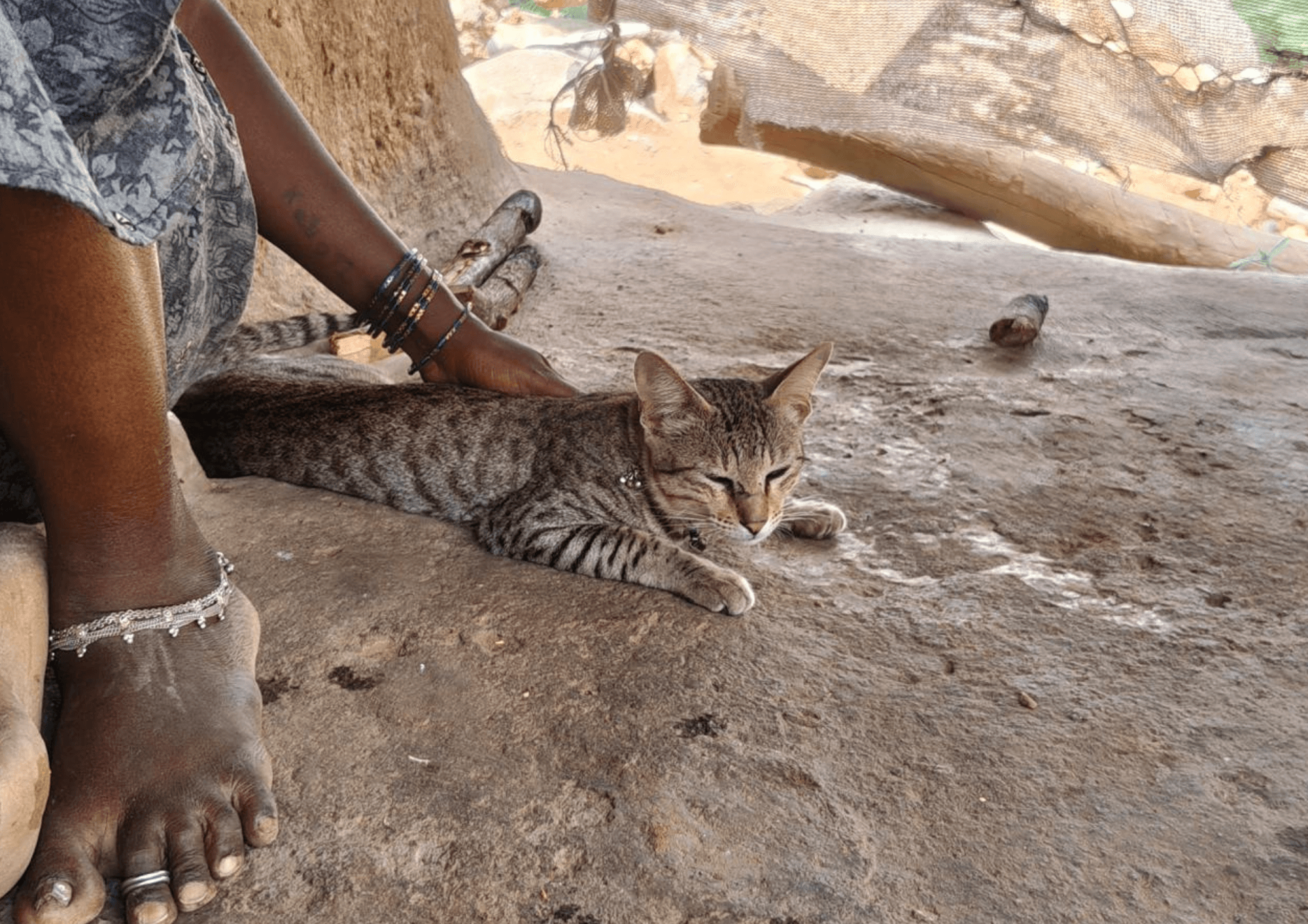 sorry, we aren't having alt support now