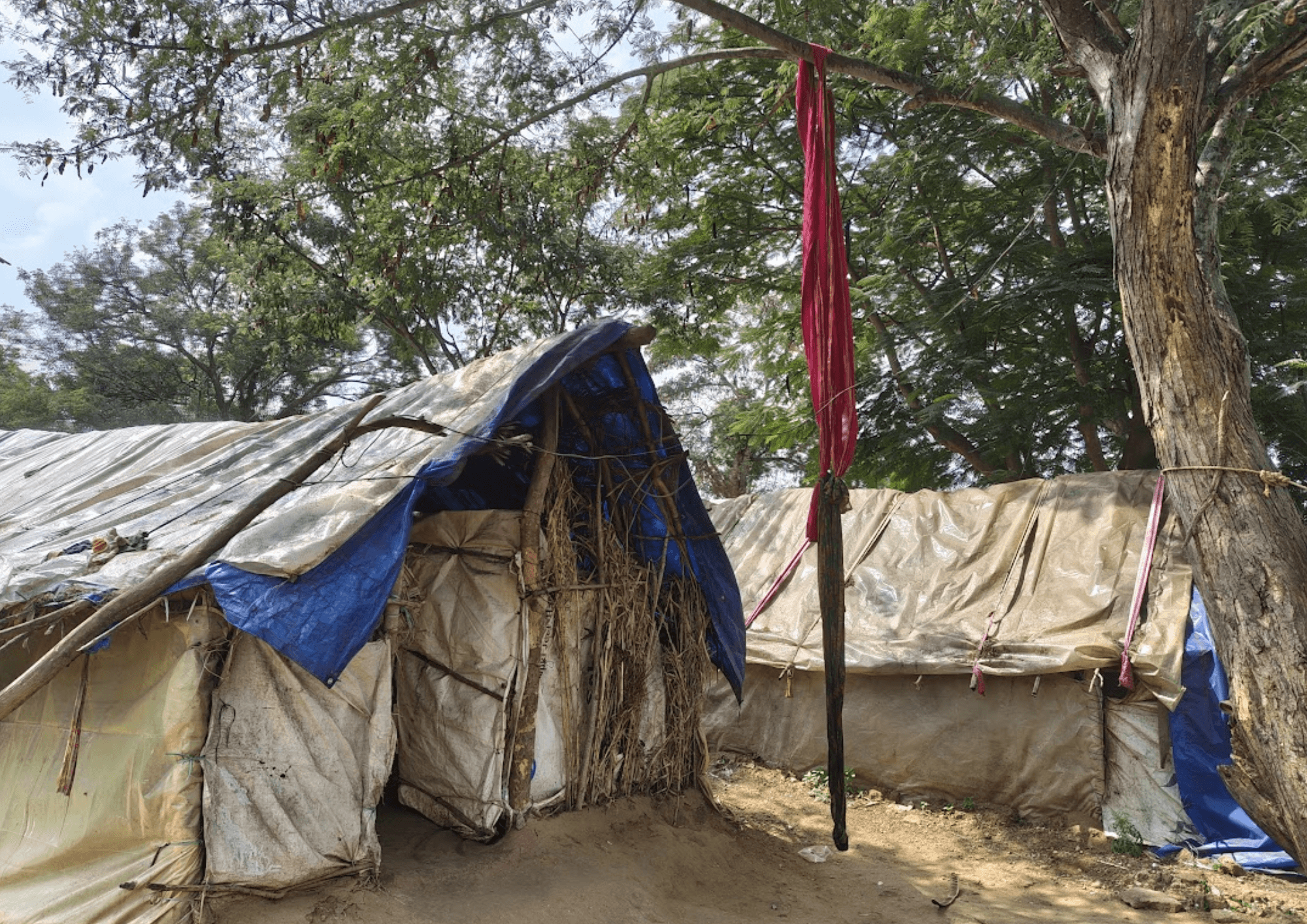 Sorry, we are in the process of creating alt